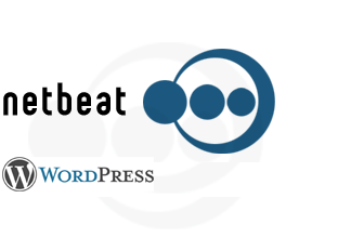 NetBeat Webhosting, www.netbeat.de - Installation von Wordpress